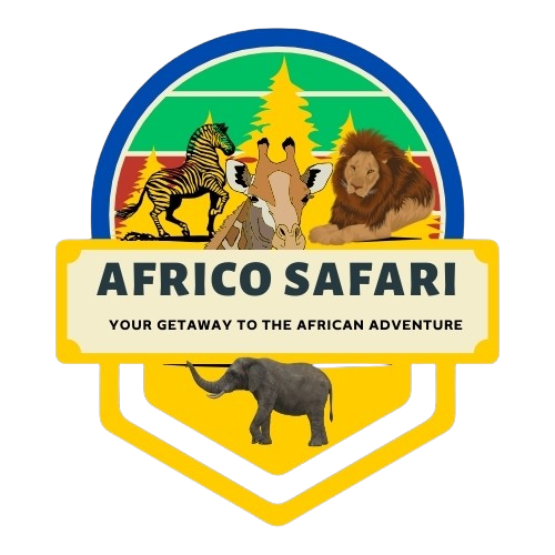 africosafarilogo